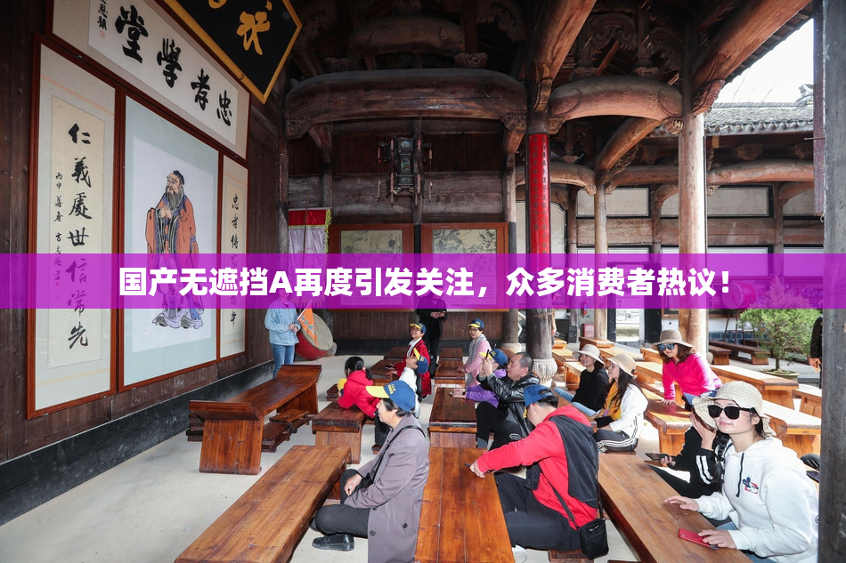 国产无遮挡A再度引发关注，众多消费者热议！