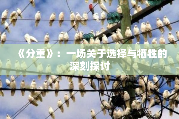 《分重》：一场关于选择与牺牲的深刻探讨
