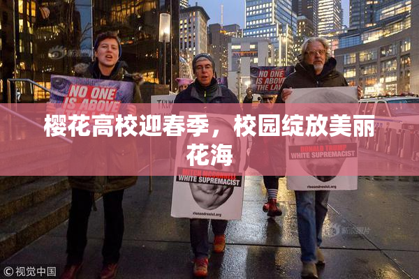 樱花高校迎春季，校园绽放美丽花海