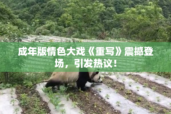 成年版情色大戏《重写》震撼登场，引发热议！