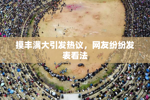 摸丰满大引发热议，网友纷纷发表看法