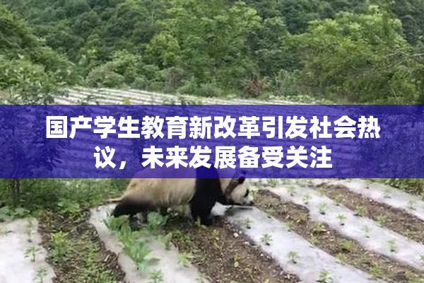 国产学生教育新改革引发社会热议，未来发展备受关注