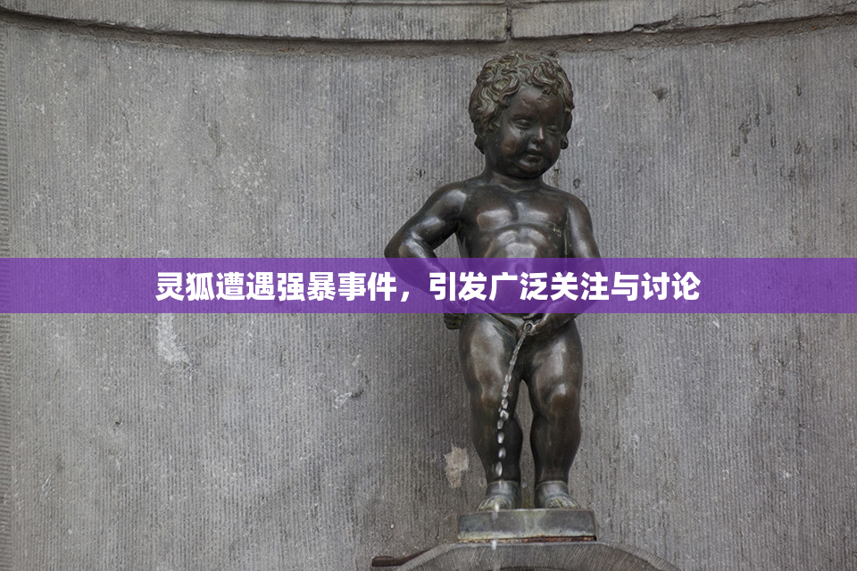 灵狐遭遇强暴事件，引发广泛关注与讨论