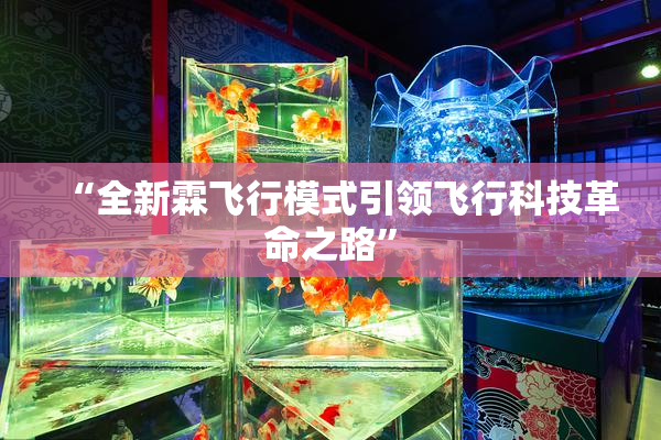 “全新霖飞行模式引领飞行科技革命之路”