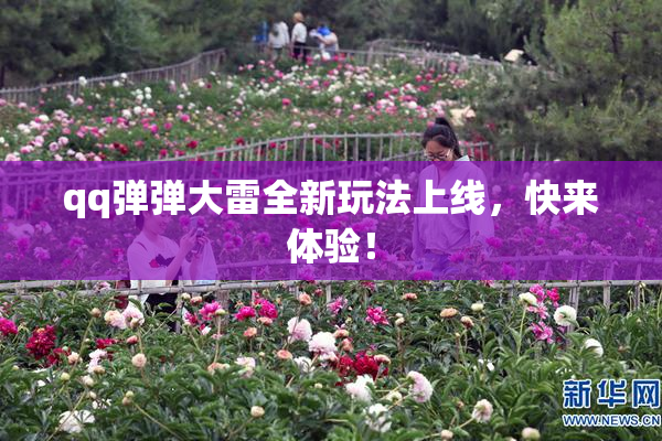 qq弹弹大雷全新玩法上线，快来体验！