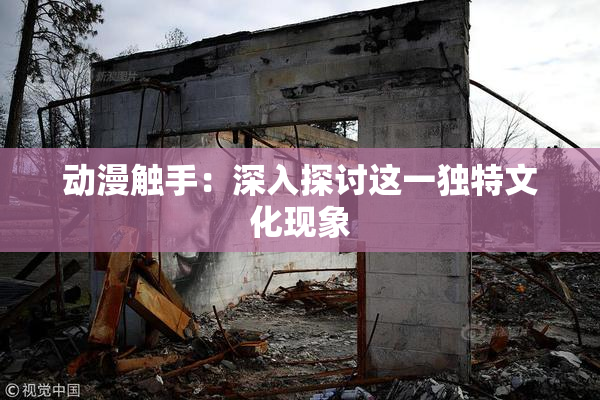 动漫触手：深入探讨这一独特文化现象