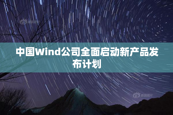 中国Wind公司全面启动新产品发布计划