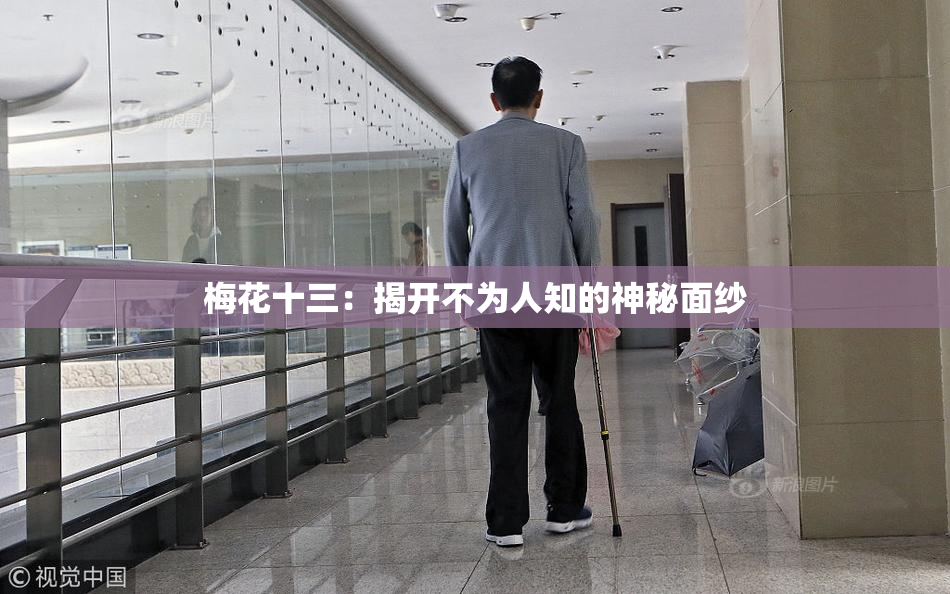 梅花十三：揭开不为人知的神秘面纱