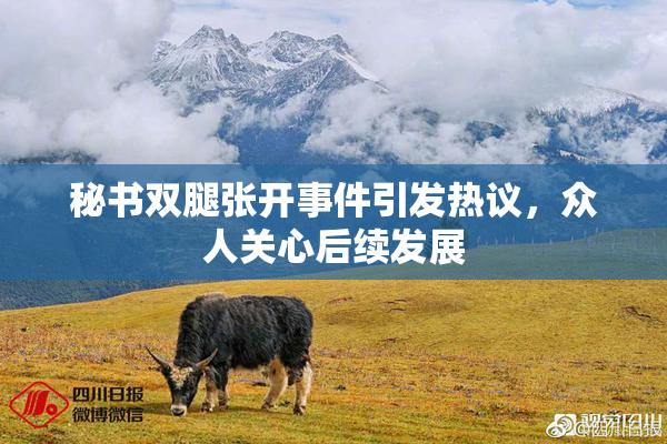 秘书双腿张开事件引发热议，众人关心后续发展