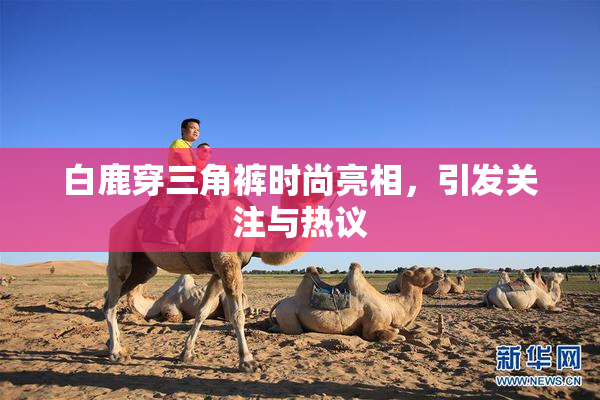 白鹿穿三角裤时尚亮相，引发关注与热议