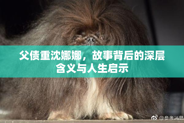 父债重沈娜娜，故事背后的深层含义与人生启示