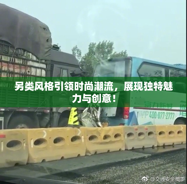 另类风格引领时尚潮流，展现独特魅力与创意！