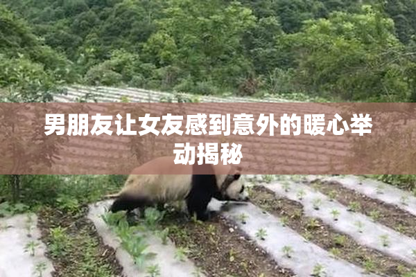 男朋友让女友感到意外的暖心举动揭秘