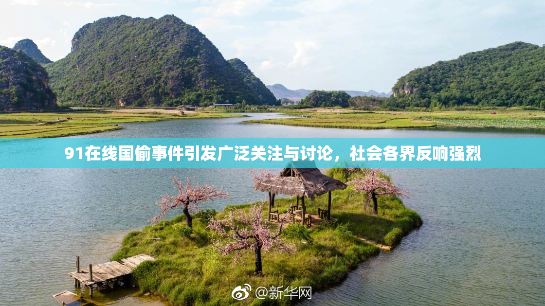 91在线国偷事件引发广泛关注与讨论，社会各界反响强烈