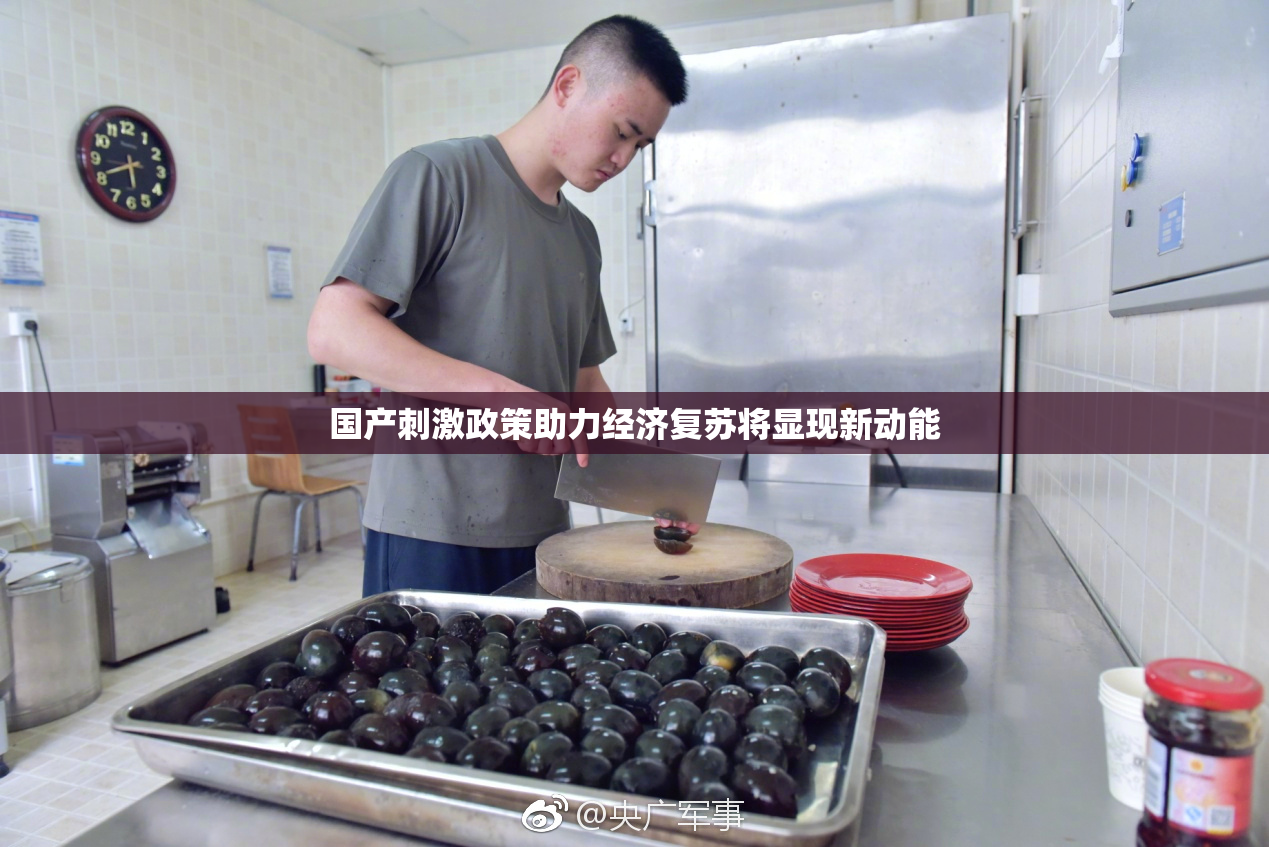 国产刺激政策助力经济复苏将显现新动能