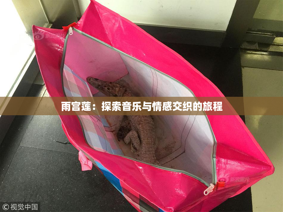 雨宫莲：探索音乐与情感交织的旅程