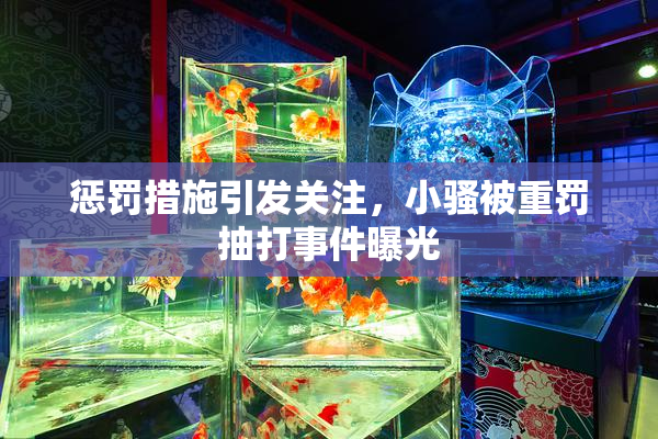 惩罚措施引发关注，小骚被重罚抽打事件曝光
