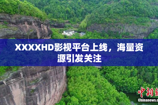 XXXXHD影视平台上线，海量资源引发关注