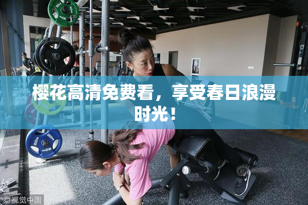 樱花高清免费看，享受春日浪漫时光！