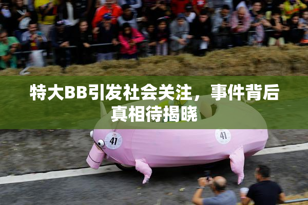 特大BB引发社会关注，事件背后真相待揭晓