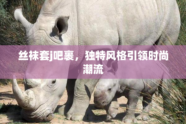 丝袜套j吧裹，独特风格引领时尚潮流