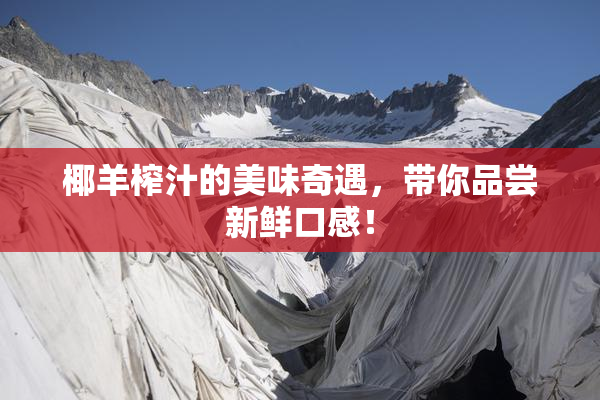 椰羊榨汁的美味奇遇，带你品尝新鲜口感！