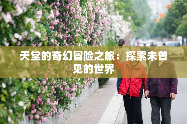 天堂的奇幻冒险之旅：探索未曾见的世界