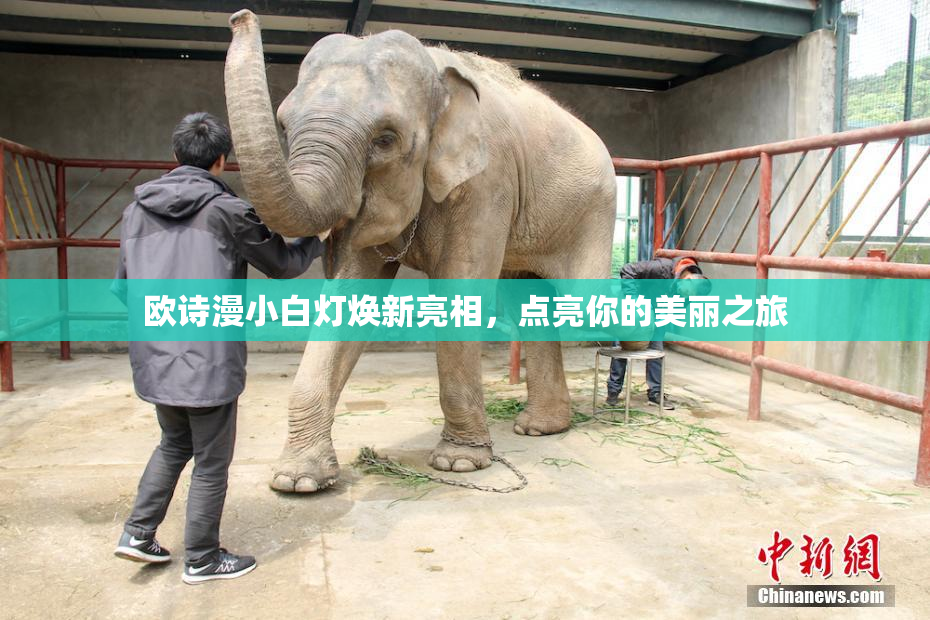 欧诗漫小白灯焕新亮相，点亮你的美丽之旅