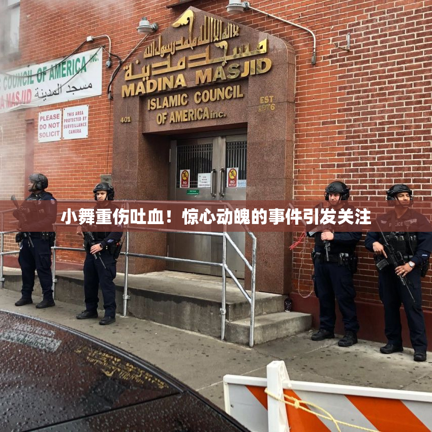 小舞重伤吐血！惊心动魄的事件引发关注