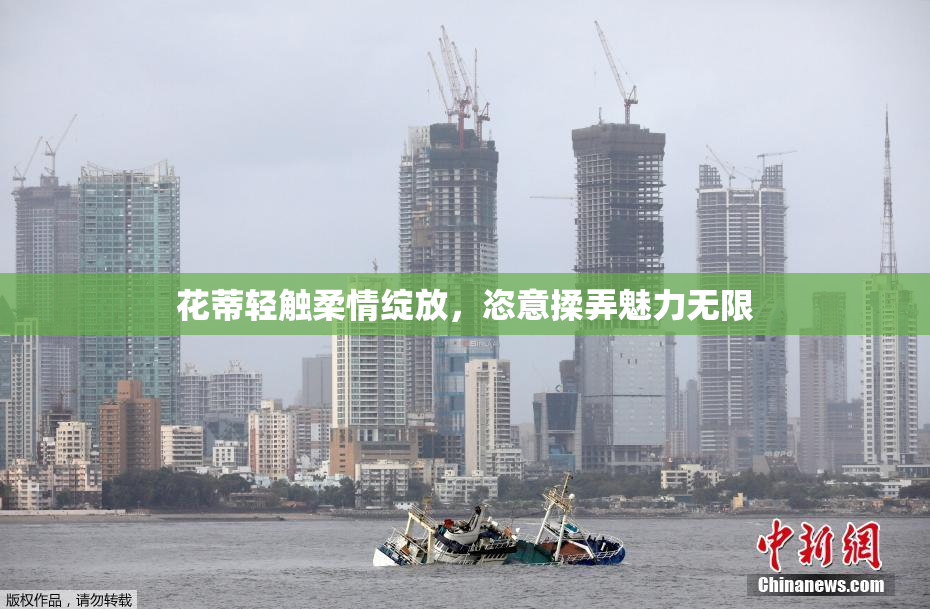 花蒂轻触柔情绽放，恣意揉弄魅力无限