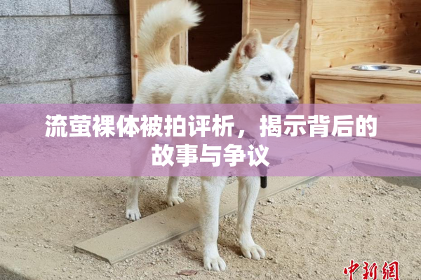流萤裸体被拍评析，揭示背后的故事与争议