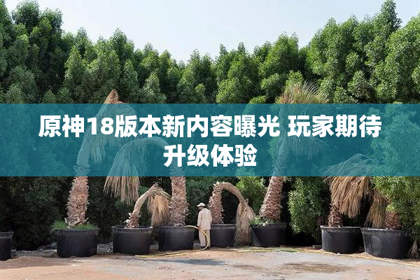 原神18版本新内容曝光 玩家期待升级体验