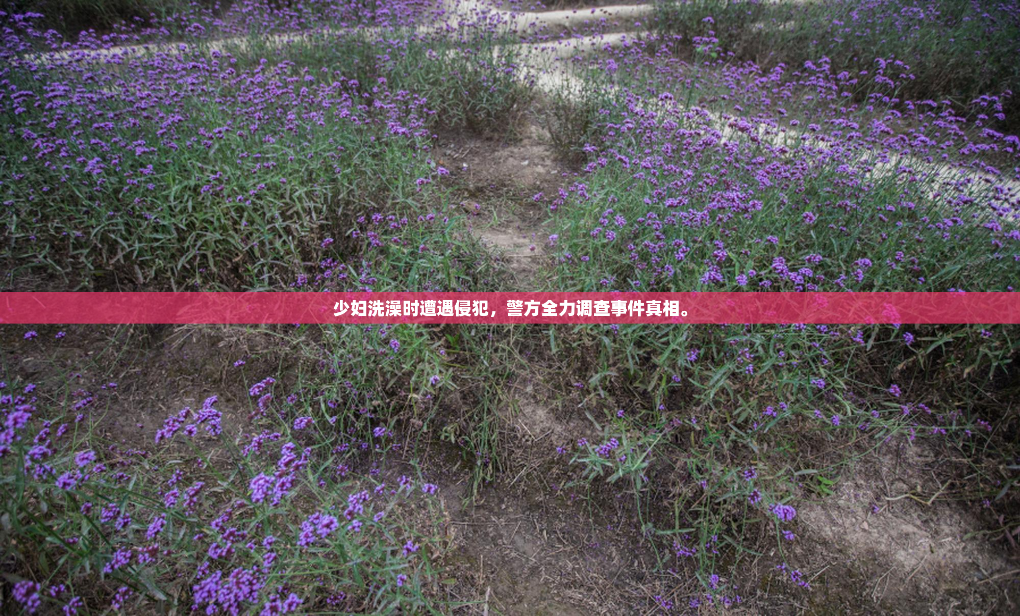 少妇洗澡时遭遇侵犯，警方全力调查事件真相。