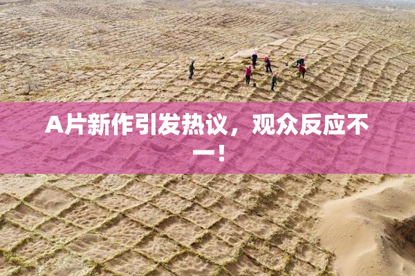 A片新作引发热议，观众反应不一！