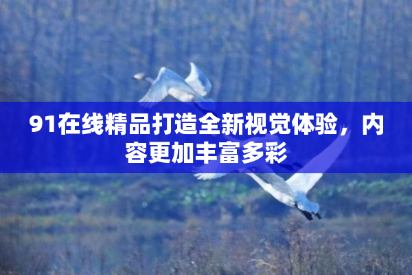 91在线精品打造全新视觉体验，内容更加丰富多彩