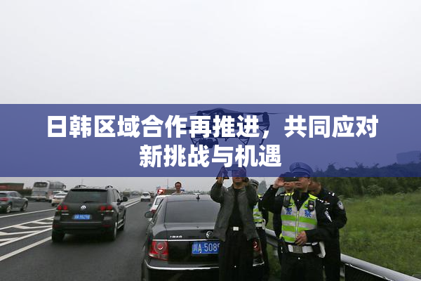 日韩区域合作再推进，共同应对新挑战与机遇