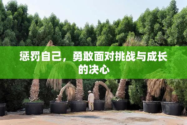 惩罚自己，勇敢面对挑战与成长的决心