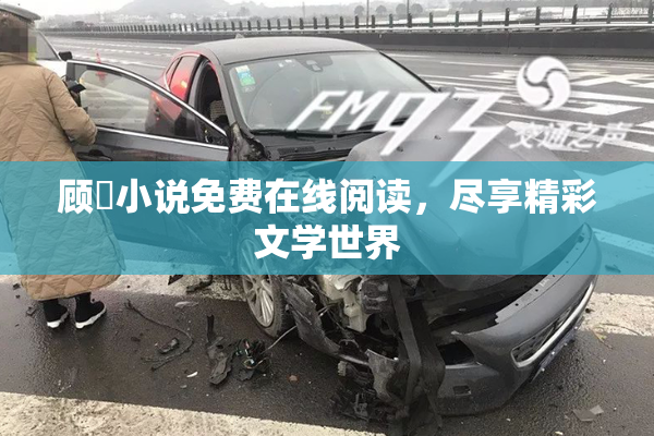 顾嫚小说免费在线阅读，尽享精彩文学世界