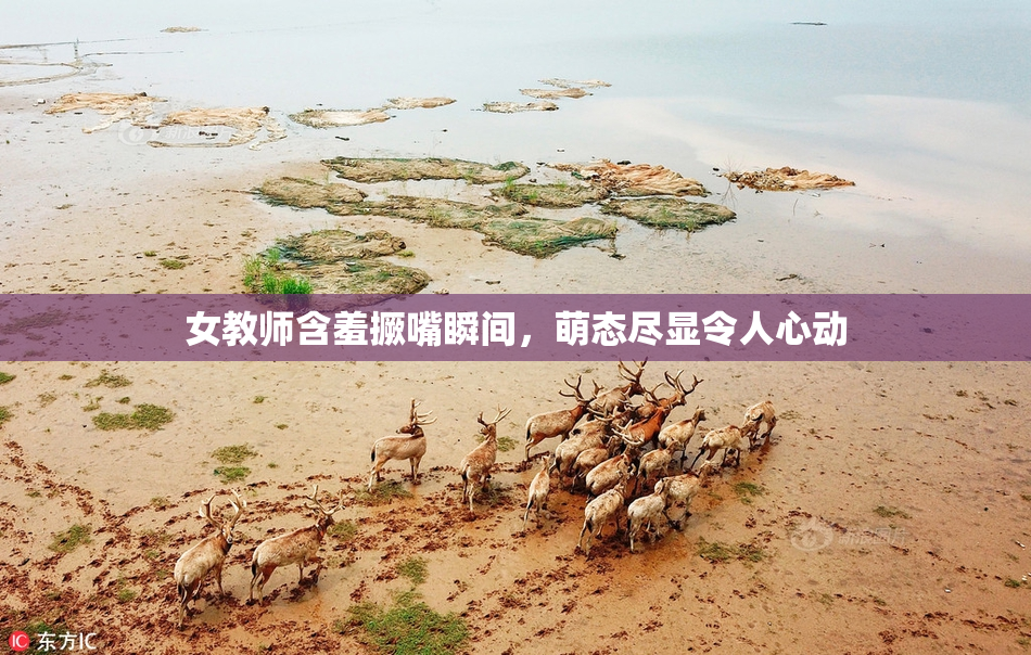 女教师含羞撅嘴瞬间，萌态尽显令人心动