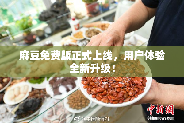 麻豆免费版正式上线，用户体验全新升级！