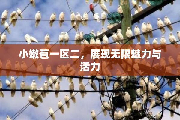 小嫩苞一区二，展现无限魅力与活力