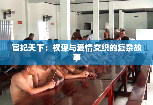 宦妃天下：权谋与爱情交织的复杂故事