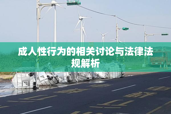 成人性行为的相关讨论与法律法规解析