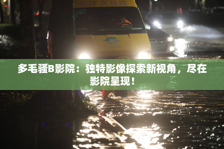 多毛骚B影院：独特影像探索新视角，尽在影院呈现！