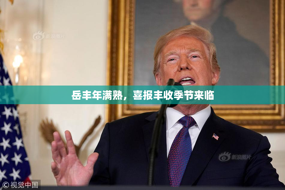 岳丰年满熟，喜报丰收季节来临