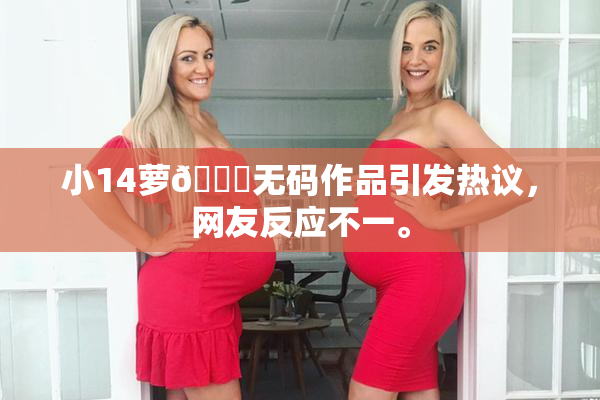 小14萝🔞无码作品引发热议，网友反应不一。