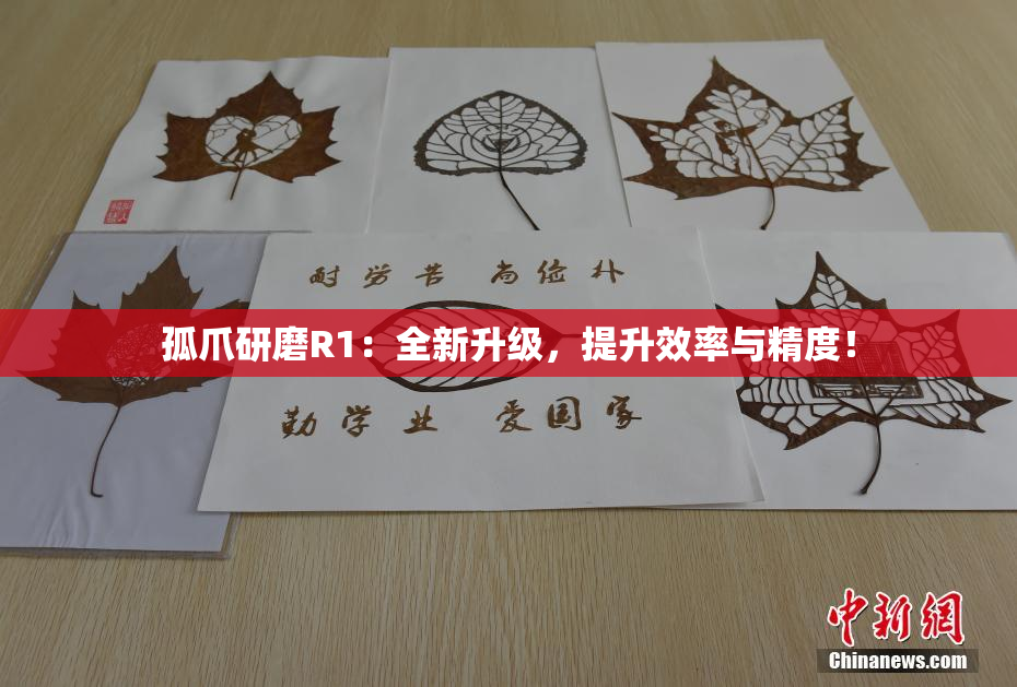 孤爪研磨R1：全新升级，提升效率与精度！