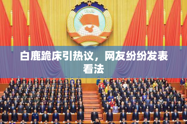 白鹿跪床引热议，网友纷纷发表看法