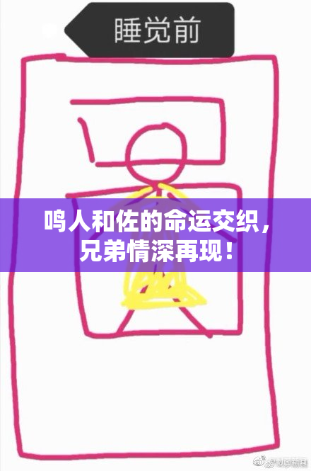 鸣人和佐的命运交织，兄弟情深再现！