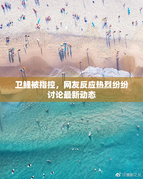 卫鲤被指控，网友反应热烈纷纷讨论最新动态
